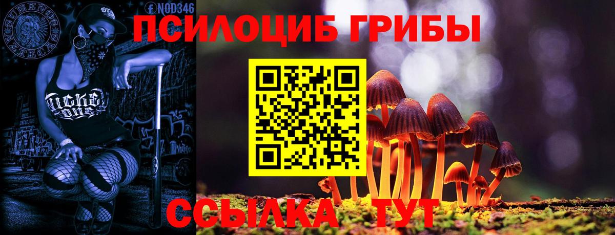 Галлюциногенные грибы MAGIC MUSHROOMS  купить закладку  Ростов Великий  Вход с VPN 